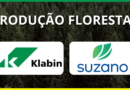 Produção Florestal - Suzano x Klabin