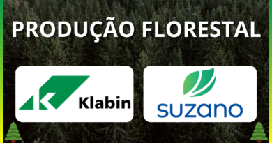 Produção Florestal - Suzano x Klabin