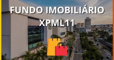 Fundo Imobiliário XPML11