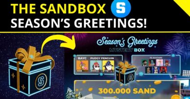 The Sandbox - Season's Greetings - Free Mystery Box