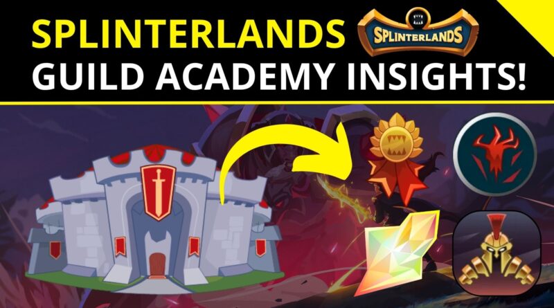 Splinterlands - Guild Academy Insights