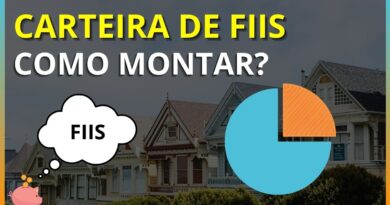 Como Montar uma Carteira de Fiis