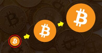 Por que ter 0.1 bitcoin